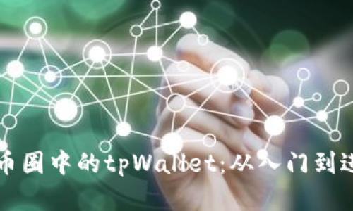 详解如何使用币圈中的tpWallet：从入门到进阶的全面指南