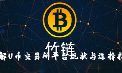 详解U币交易所平台现状与选择指南