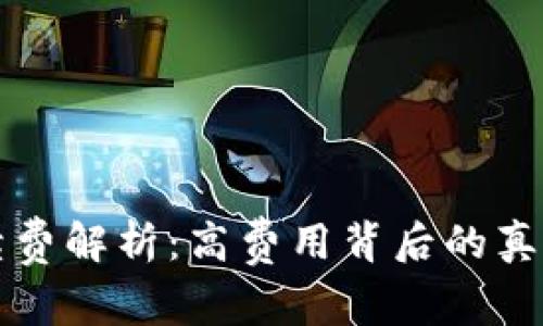 tpWallet手续费解析：高费用背后的真相与应对策略