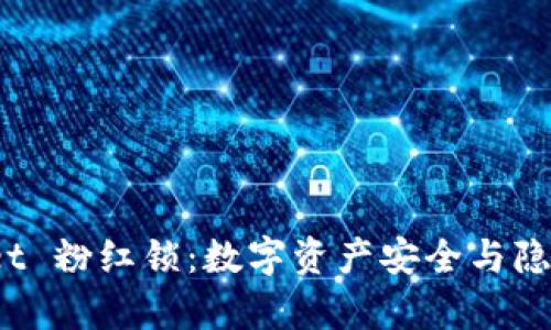 探索 tpWallet 粉红锁：数字资产安全与隐私的最佳选择
