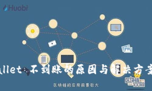 tpWallet 不到账的原因与解决方案详解