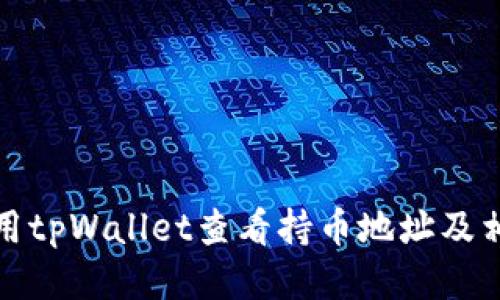 如何使用tpWallet查看持币地址及相关信息