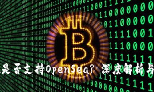 tpWallet是否支持OpenSea? 深度解析与使用指南