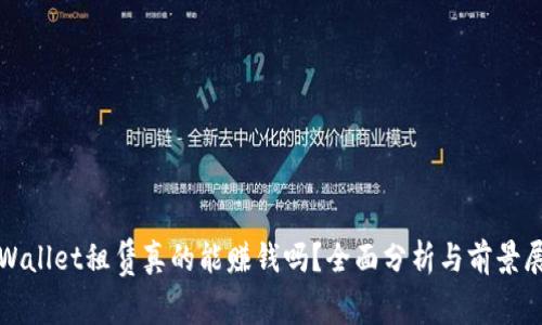 tpWallet租赁真的能赚钱吗？全面分析与前景展望