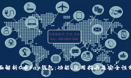 全面解析C币Pay钱包：功能、使用指南及安全性分析