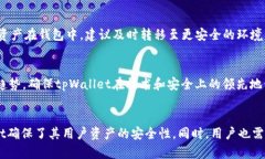   tpWallet安全吗？全面解析其安全性与隐私保护