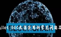 解决tpWallet BSC无法使用的常见问题及解决方案
