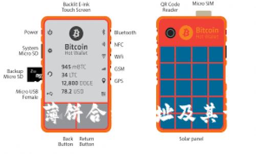 tpWallet薄饼合约地址及其详细信息