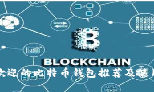 最受欢迎的比特币钱包推荐及使用指南