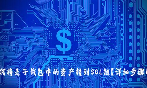 i如何将麦子钱包中的资产转到SOL链？详细步骤解析