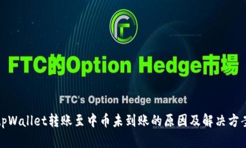 tpWallet转账至中币未到账的原因及解决方案