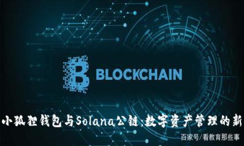 探索小狐狸钱包与Solana公链：数字资产管理的新选择