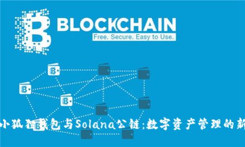 探索小狐狸钱包与Solana公链：数字资产管理的新选择