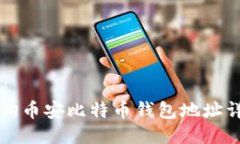 如何查询币安比特币钱包地址详细指南