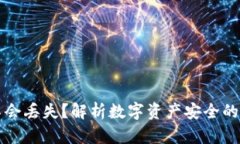 比特币钱包会不会丢失？解析数字资产安全的现