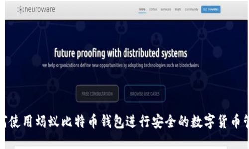 如何使用蚂蚁比特币钱包进行安全的数字货币管理