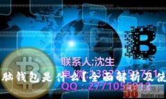 比特币脑钱包是什么？全