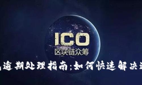 vivo钱包逾期处理指南：如何快速解决逾期问题