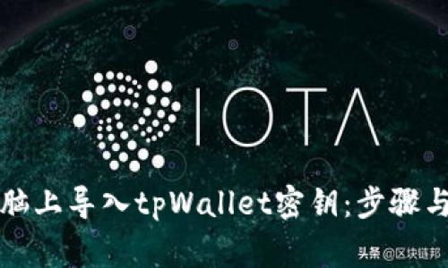 如何在电脑上导入tpWallet密钥：步骤与注意事项