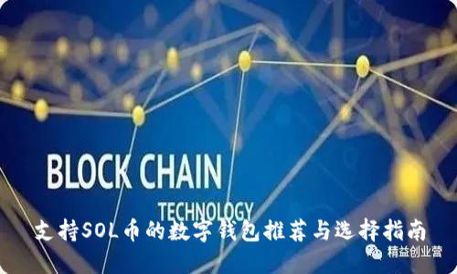 支持SOL币的数字钱包推荐与选择指南
