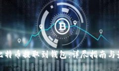 如何将比特币提取到钱包：详尽指南与最佳实践