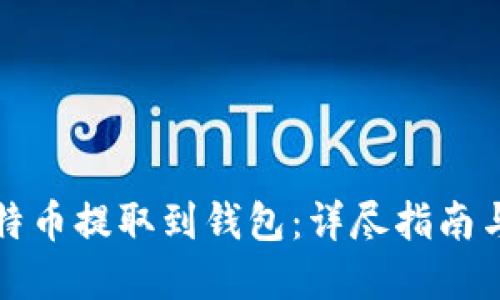 如何将比特币提取到钱包：详尽指南与最佳实践