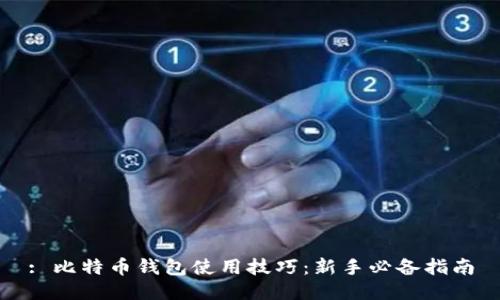 : 比特币钱包使用技巧：新手必备指南