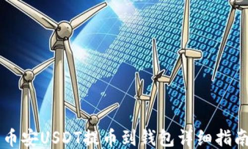 
币安USDT提币到钱包详细指南