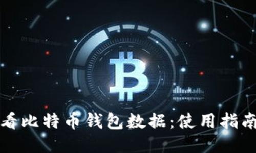 如何查看比特币钱包数据：使用指南与技巧