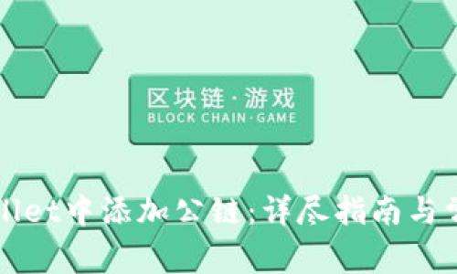 如何在tpWallet中添加公链：详尽指南与常见问题解答