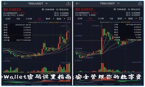tpWallet密码设置指南：安全管理你的数字资产