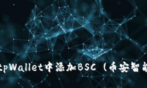 如何在电脑端tpWallet中添加BSC (币安智能链) 详细指南