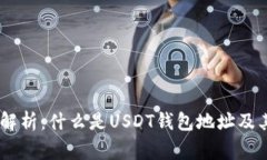 USDT钱包地址解析：什么是USDT钱包地址及其使用注