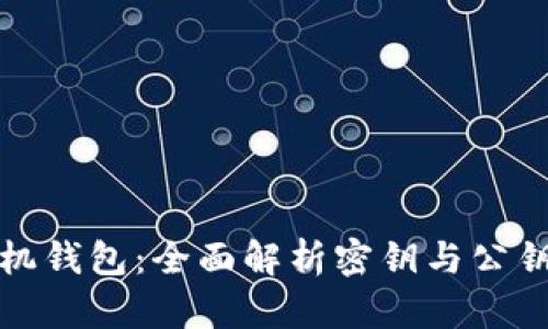 比特币手机钱包：全面解析密钥与公钥的安全性