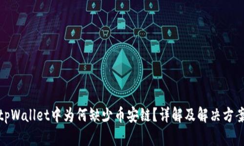 tpWallet中为何缺少币安链？详解及解决方案