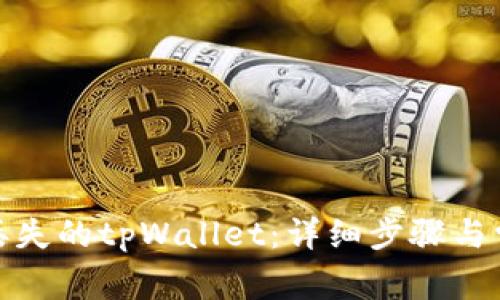 : 如何找回丢失的tpWallet：详细步骤与常见问题解答