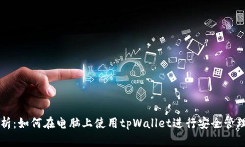 全面解析：如何在电脑上使用tpWallet进行安全管理和交易