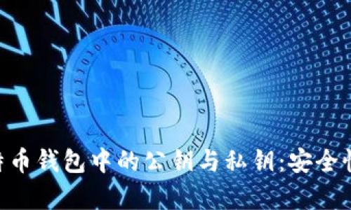 深入解析比特币钱包中的公钥与私钥：安全性、管理和应用