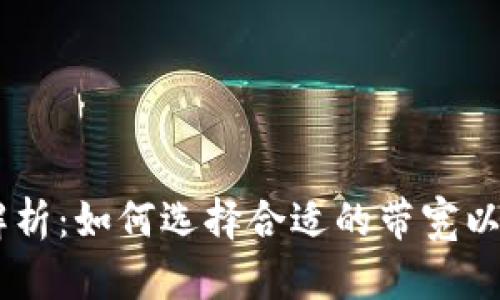 USDT钱包带宽需求解析：如何选择合适的带宽以确保稳定性和安全性