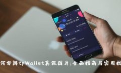 如何分辨tpWallet真假图片：