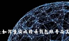 全面指导：如何查询比特