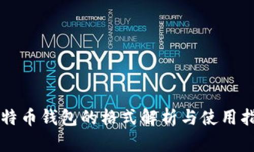 比特币钱包的格式解析与使用指南