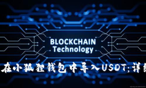  如何在小狐狸钱包中导入USDT：详细指南