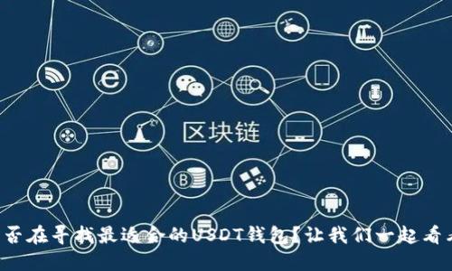 你是否在寻找最适合的USDT钱包？让我们一起看看吧！