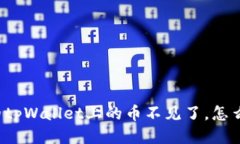 我的tpWallet上的币不见了，