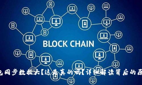 比特币核心钱包同步数据大？这是真的吗？详细解读背后的原因与解决方案！