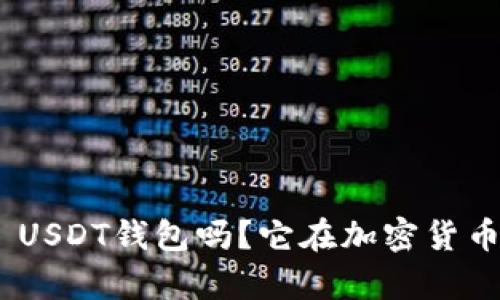 你知道什么是Omni USDT钱包吗？它在加密货币世界中有何重要性？