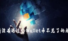 你有没有遇过tpWallet币不见