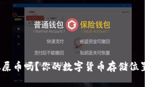 TP钱包可以放屎币吗？你的数字货币存储位置选择对了吗？