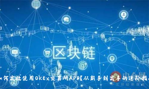 “如何高效使用OKEx交易所APP？从新手到高手的进阶指南”